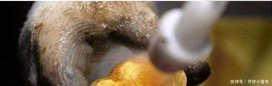 行业|此盗墓贼要被气傻了,挖了15米,就差5厘米到主棺,却放弃了!