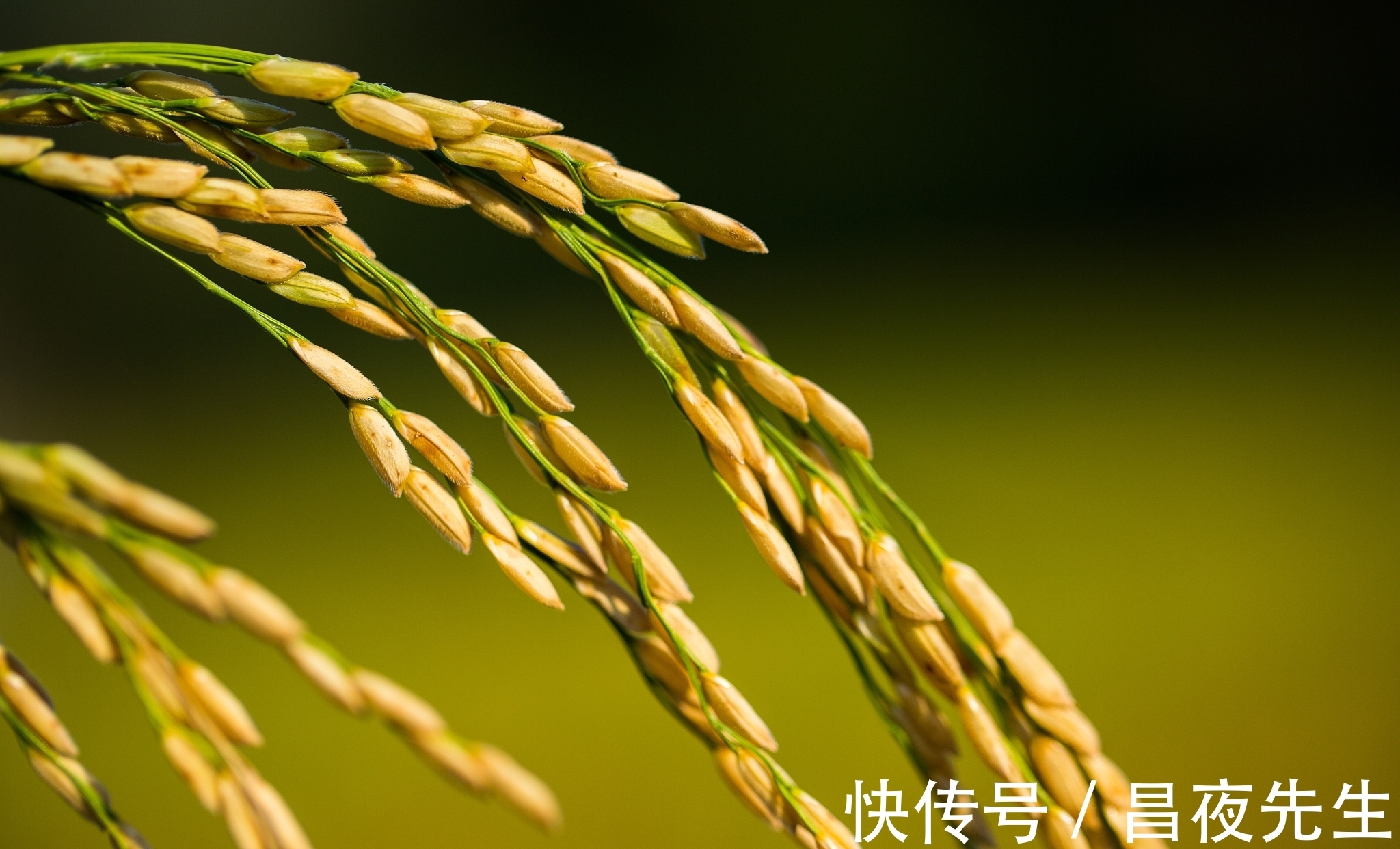 有心计&真正有“心计”的聪明人,往往懂得两种处世哲学,懂一种,也很好