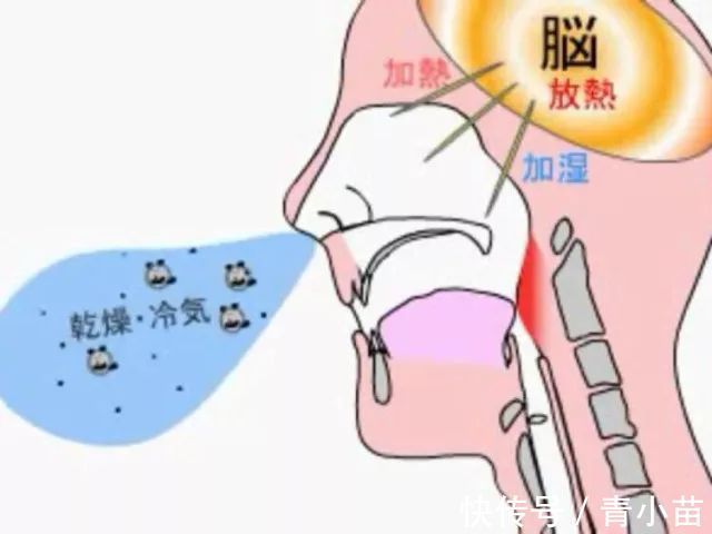 不良习惯|这样的睡姿你家宝贝是否也有呢？其实这都是口呼吸惹的祸！