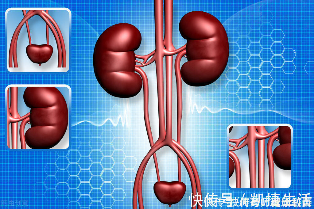 肾脏|9类降糖药,只有3类有明显的心血管、肾脏保护作用,您用对了吗