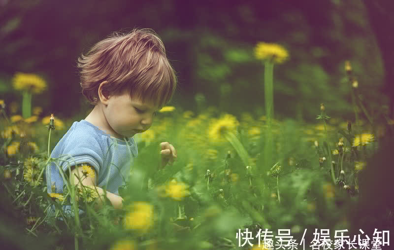 孩子|父母对孩子真正的尊重,就是做到以下几点,可惜很多人忽略了!