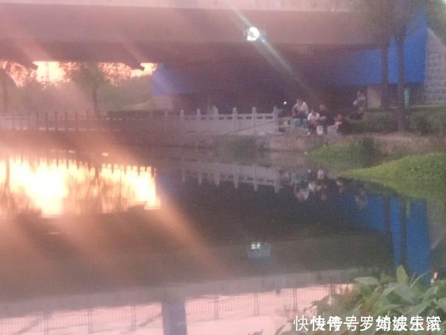 钓大板鲫|昨天第31天夜钓,偶遇一位奇葩钓友,结果12点前几乎没口