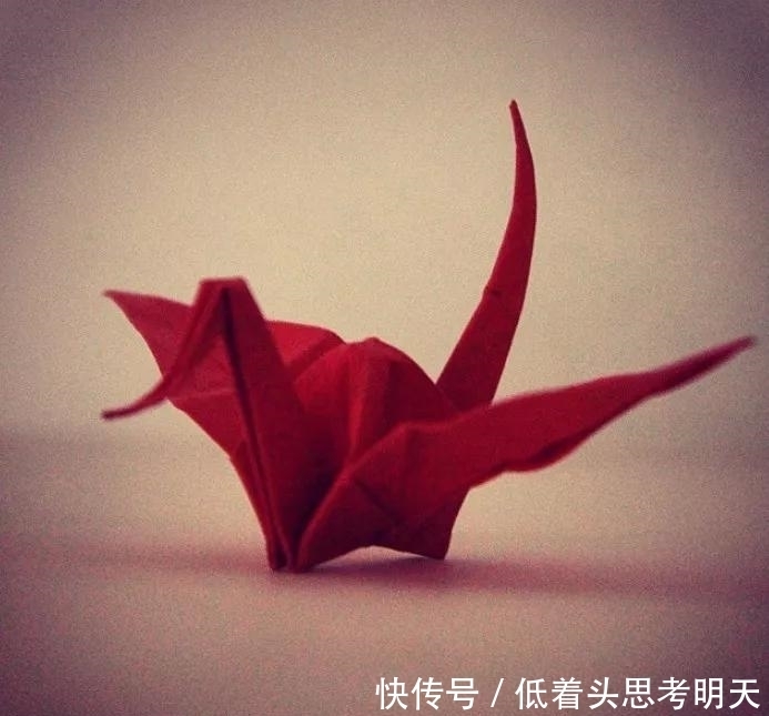 重样|每天折一只千纸鹤,他坚持了1000天不重样,女友被感动到梨花带雨