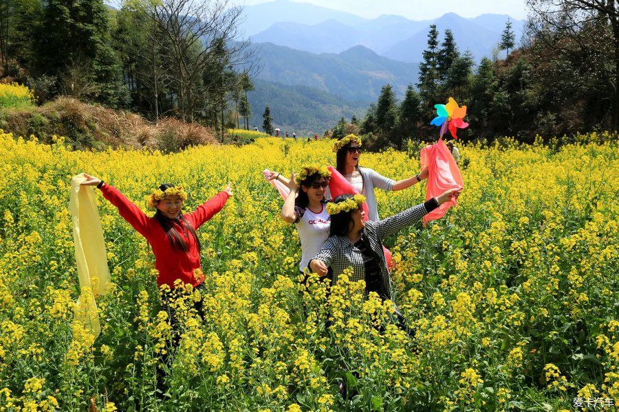 阳春三月，游婺源赏油菜花