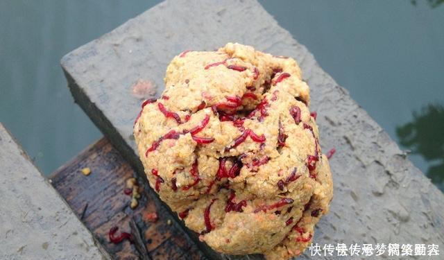 小伙|农村小伙钓鱼就是狠,这样打窝,钓鱼钓到手发软