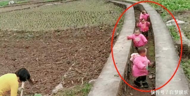 危险物品|最勤劳奶奶走红,独自带四胞胎还干农活,网友:这才叫“圈养”