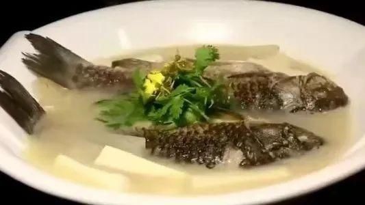 鱼类|鲫鱼、黑鱼、三文鱼…哪种鱼才是“营养冠军”？聪明人这样吃，功效翻倍