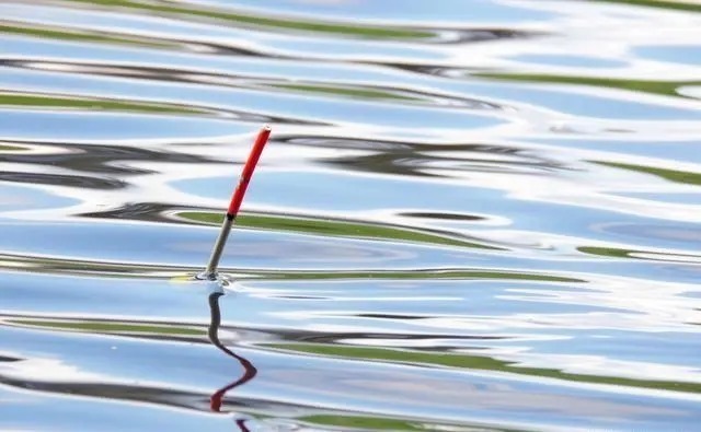 钓鱼:调四钓二精准调漂法的五个步骤,过程简单快捷,上鱼效果好!