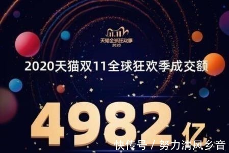 薇娅|这个双11，商家在“血战到底”，消费者如何“割韭菜”