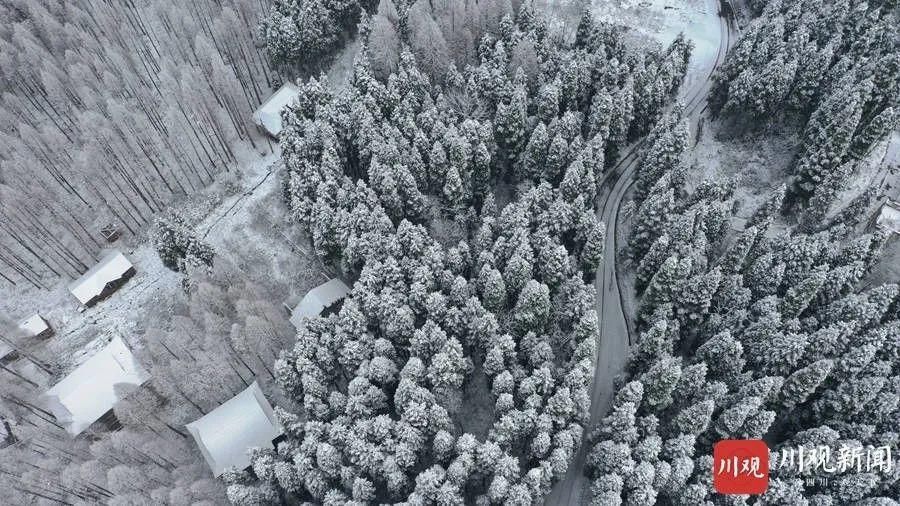 一大|德阳各地雪景美照大曝光！隔壁城市都羡慕哭了！一大波视频照片……