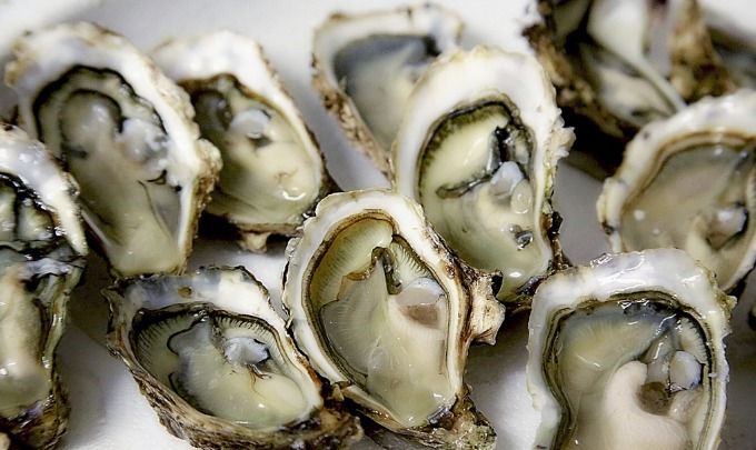 利用|宋朝建的第一座跨海大桥,利用一种动物加固桥梁,至今屹立不倒