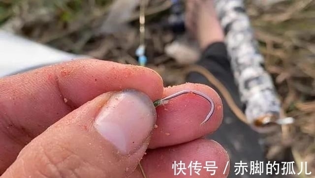 饵料|鱼钩和鱼线的秘密!了解这3种搭配方式,钓起鱼来得心应手