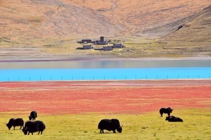 喀纳斯|外国人眼中最美的中国5大景点，图美景更美，你去过几个？