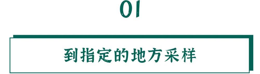 采样|核酸的检测有多麻烦？看完我都不好意思催结果了