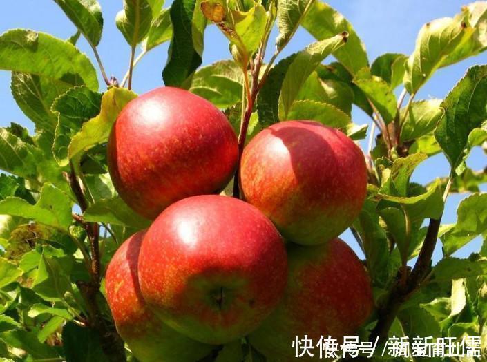 维生素c|想长寿得会吃,三种种食物要多吃,疏肝理气、舒缓压力,谁吃谁健