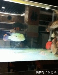 |搞笑GIF趣图隔壁就是教室,每天早上起床的时候贼尴尬!