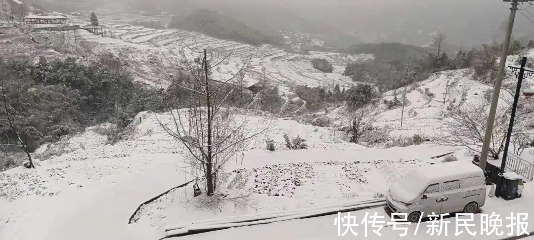 积雪|怕你不来，又怕你乱来，今天沪苏浙皖多少人在等一场雪