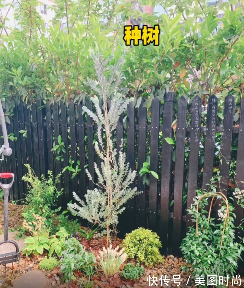 花园|花了两万块，用了7天时间改造40㎡一楼花园，分享花园改造过程