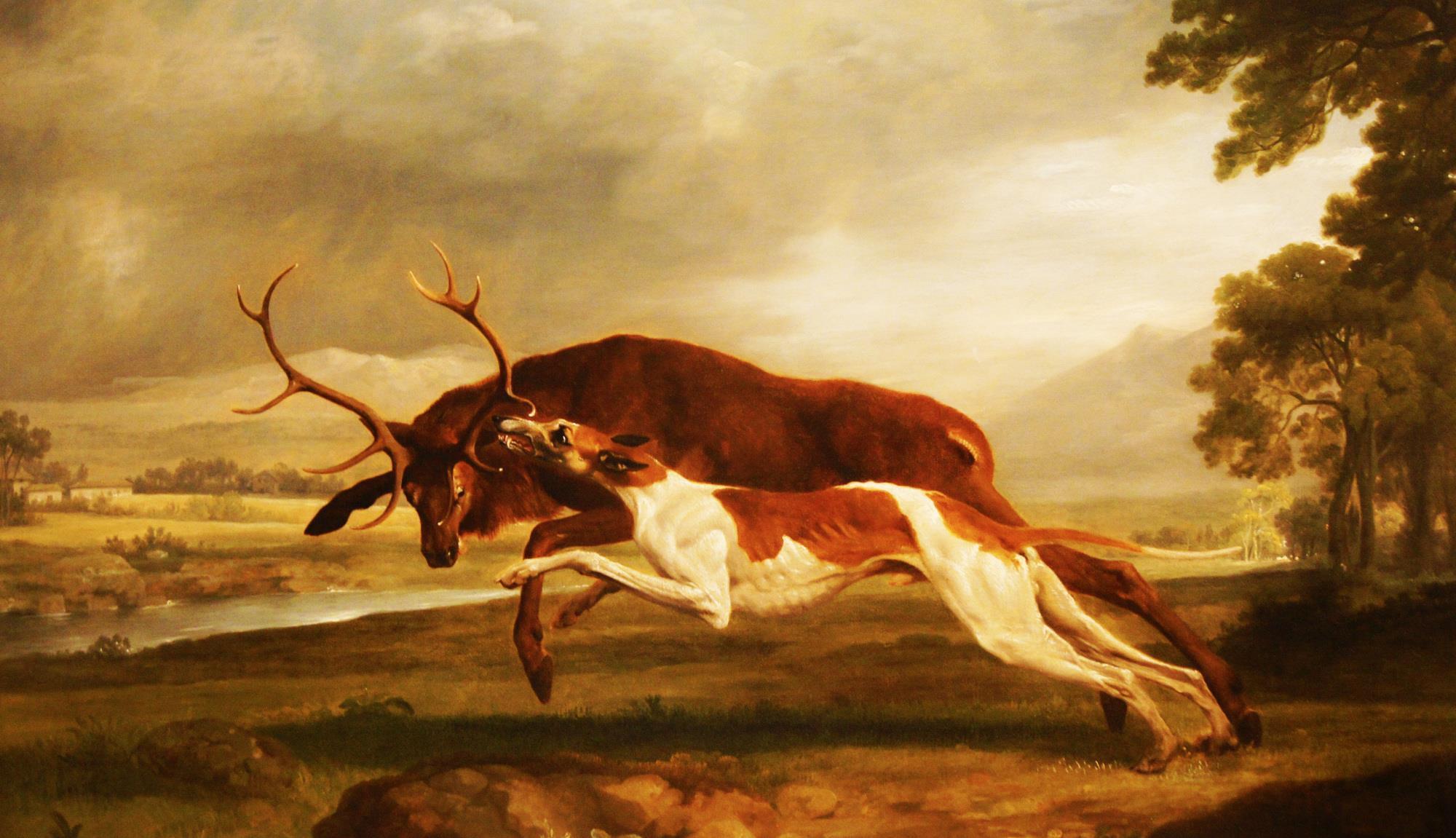 向着胜利前进|徐悲鸿画的狮子，又瘦又挫却价值6000万，了解创作背景值得