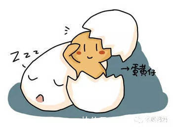 干货|宝宝吃鸡蛋指南 ,干货收藏