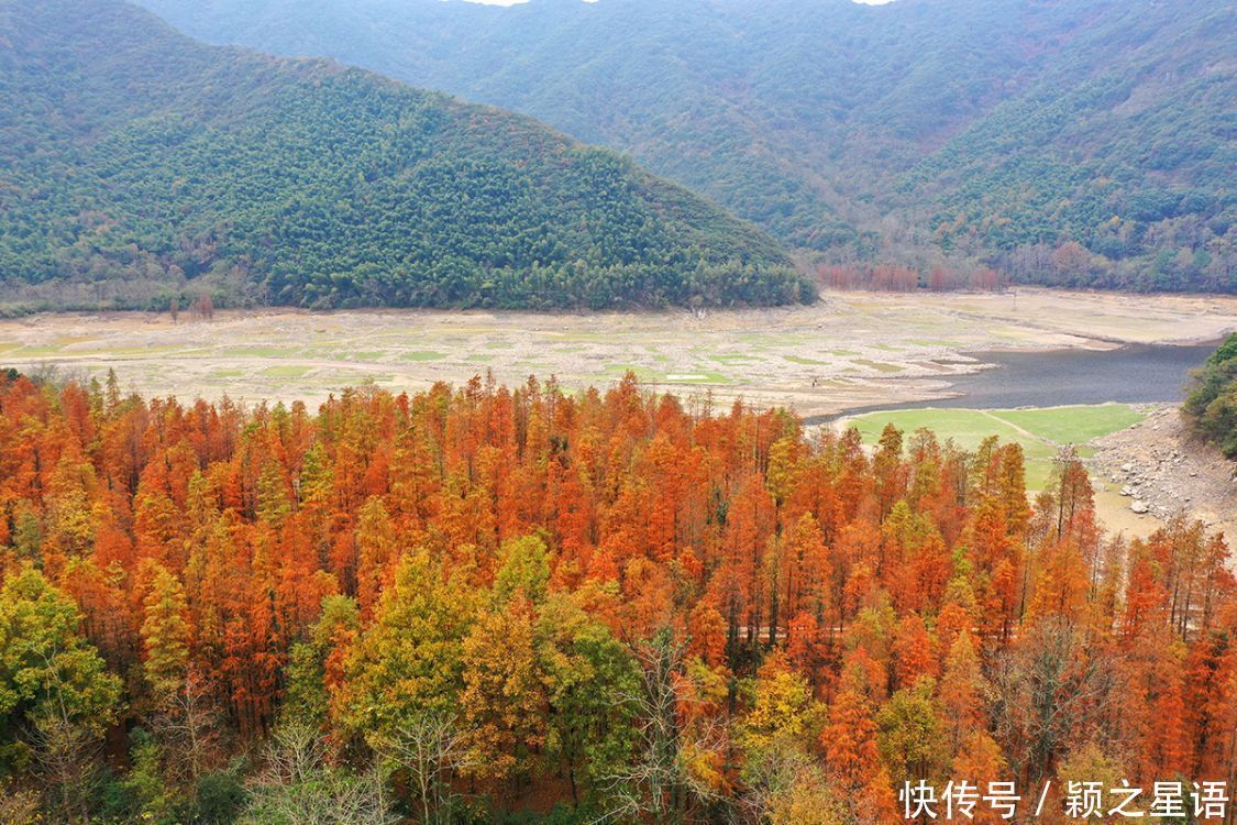 红杉林|水库水杉红，风光之美，缺水之忧