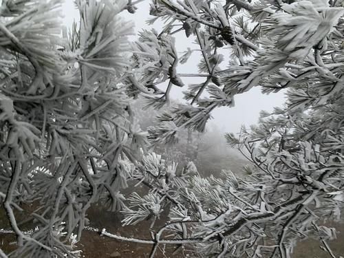 人间仙境|人间仙境！括苍山的第一场雾凇来了