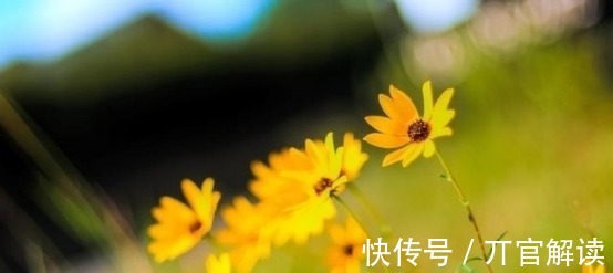 月老|7天后，桃花朵朵，争奇斗艳，月老送喜，天赐姻缘，一定会幸福