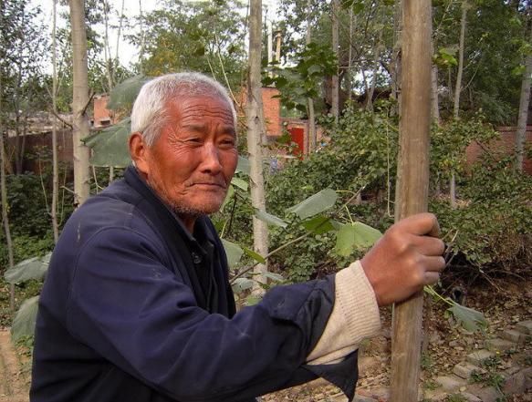 抽烟喝酒|113岁老人：抽烟喝酒不运动，他说长寿很简单，只要坚持做1事