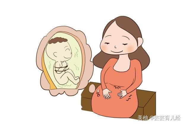 孕七个月|怀孕过三个月就安全了?其实这个月份更危险