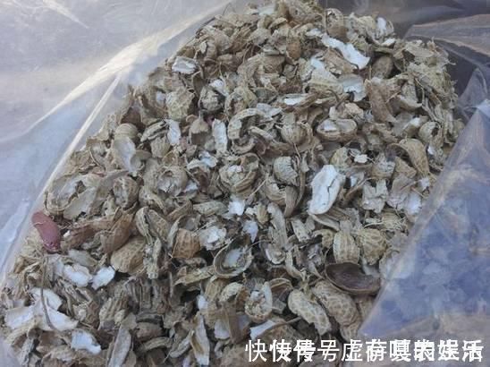 养花|老花匠:扔4种“东西”,就是扔钱,比花肥还好用,不花钱!