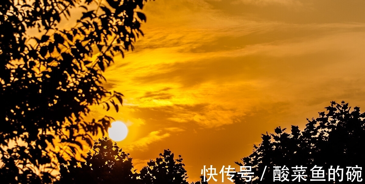 李白#李白最經(jīng)典的20首詩排行榜,《靜夜思》第四,前三都是哪些名篇?