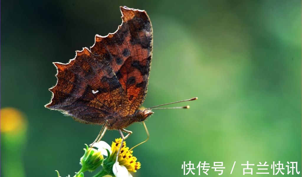 一笑!关于秋天的34首诗词,勾起了无数人的乡土情怀