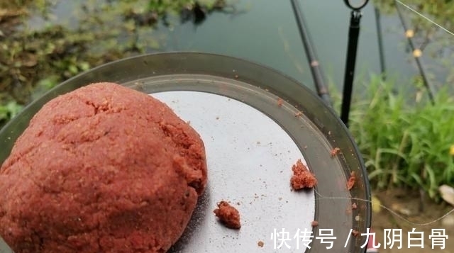 红虫颗粒的另类用法,这样加工一下再打窝,鲫鱼进窝会更快!