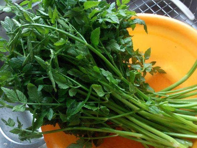 美味|野菜虽美味，生命第一位！3大有毒野菜，外出时最好别采