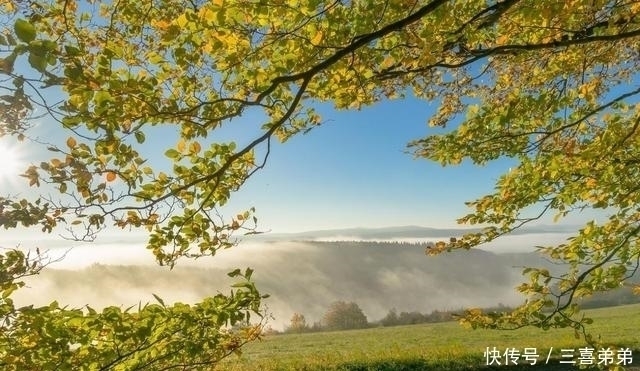 星座|越有本事，反而越低调的三个星座，大智若愚，深藏不露