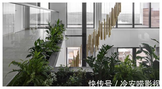 游泳池|夫妻逃离城市，自建1250㎡现代风格住宅，这场面令人叹为观止