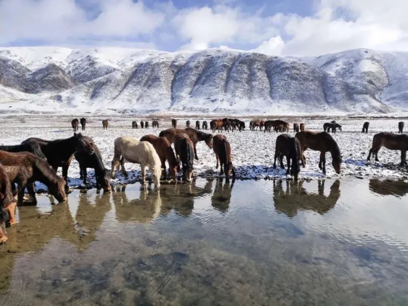 人来自|-38℃，骑马的兵哥哥真帅！