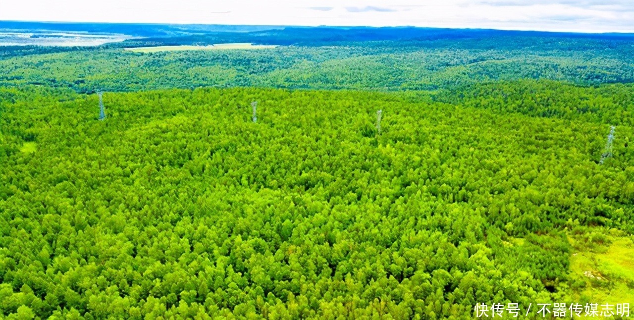 你知道大兴安岭多美吗？不是天堂胜似天堂！四季风景都令人难忘