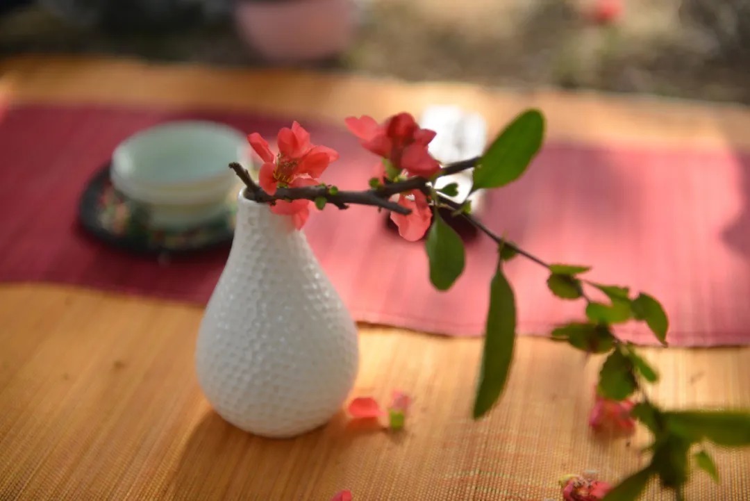 酒舫@《唐诗三百首》中最能治愈人心的六首诗,如果累了,就读一读吧!