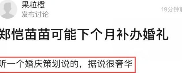 郑恺苗苗被曝下月补办婚礼，婚庆策划很奢华！郑恺示爱用心良苦