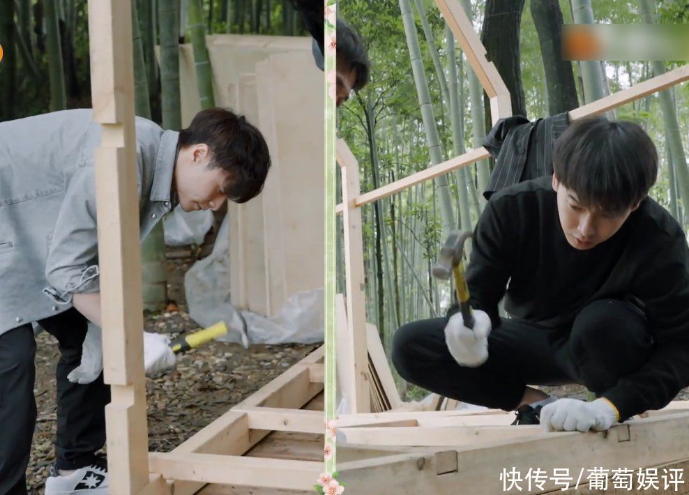 张艺兴|蘑菇屋嘉宾搭木屋,张艺兴让张子枫递电钻,她的动作细节太博好感