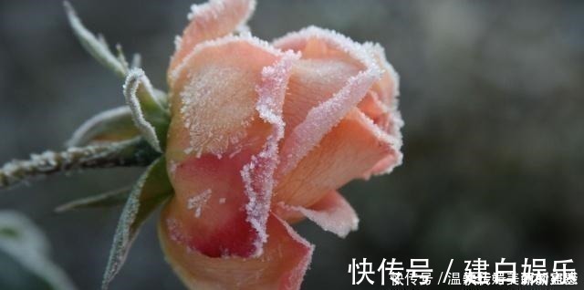 看透@一首宋词真正看透人生，开头12个字惊艳无比，道尽世间冷暖