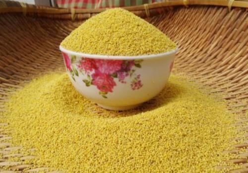 米油|煮小米粥,千万别直接用水煮!大厨教你3窍门,香浓黏稠,米油厚