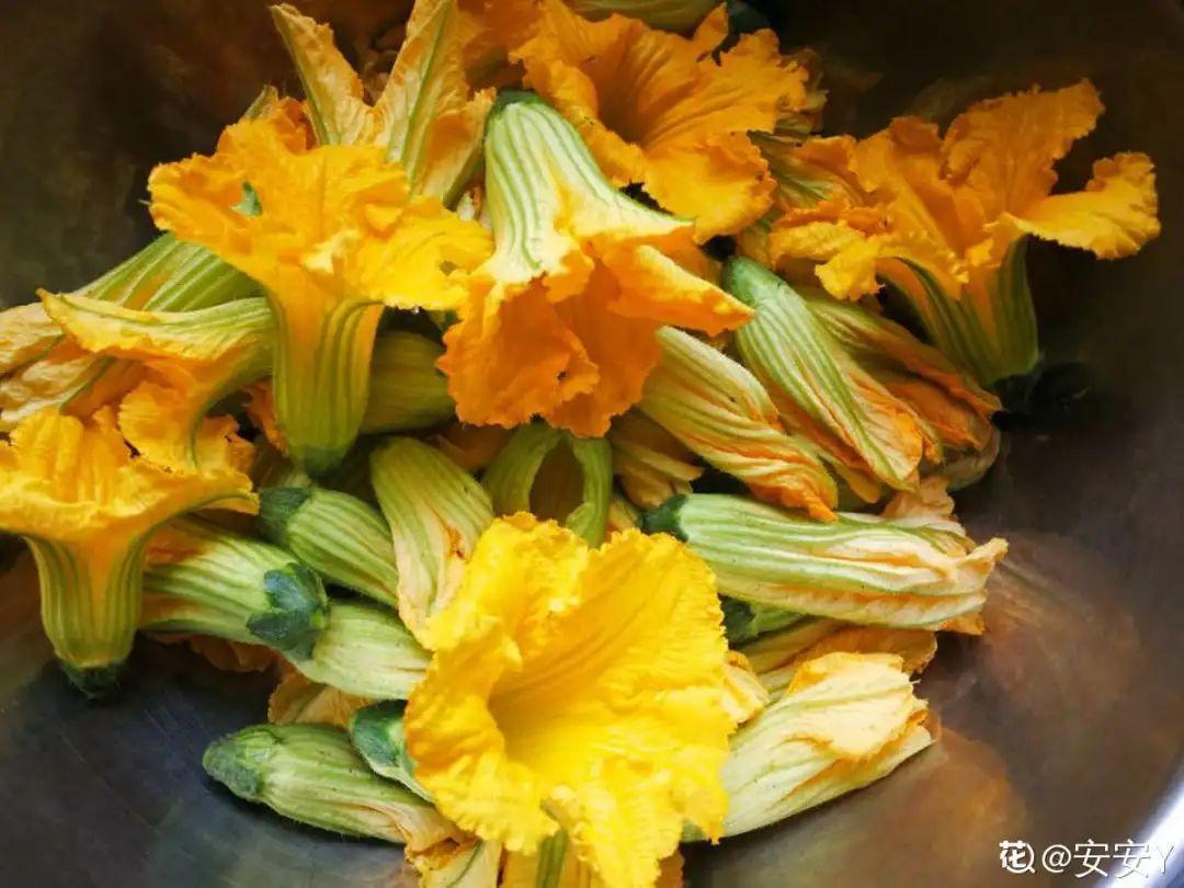 香飘飘的花,吃一口满嘴花香,再不吃就没了