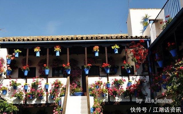 不一样的“庭院花园”，花草都上了墙