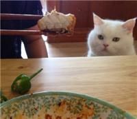 烤鱼|深夜食堂｜授人以鱼不如来盘烤鱼，盘点那些不得不爱的鱼类美食