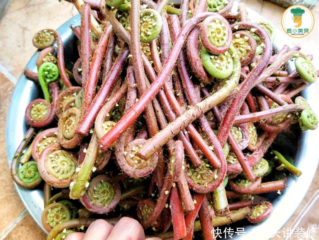 蕨菜|“晚春”阶段，6种野菜碰到别手软，错过等明年
