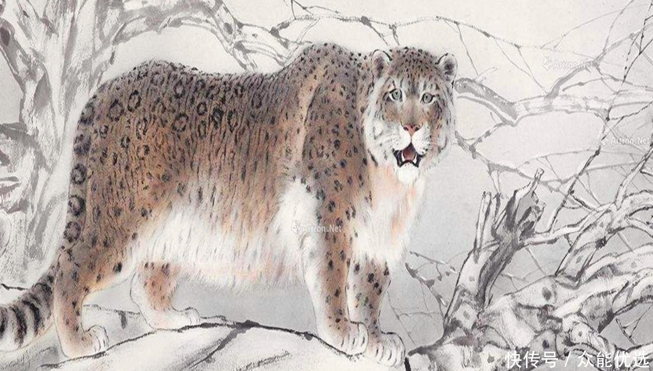 山海经中偶然发现一个离奇记载,一旦被证实,将解开所有的谜底