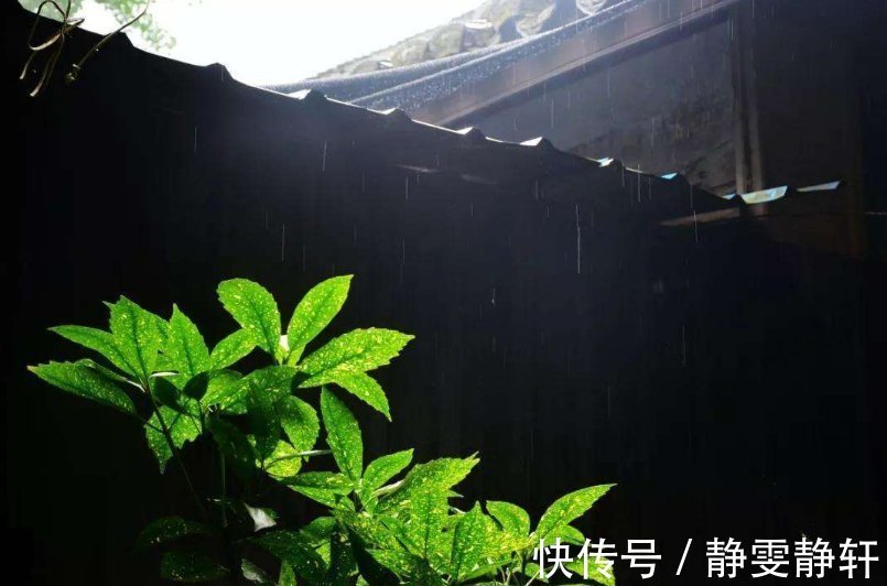 秦风·无衣@丈夫回来后才女一高兴写首妙诗,流传2000多年,被誉“千秋绝调”