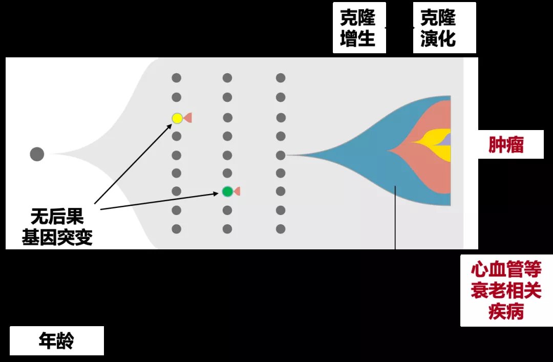 输血|贫血5年、依赖输血的71岁患者在这里获得新生